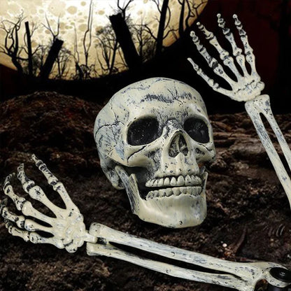 Props Crâne et Mains Squelette Réalistes - Décoration Halloween